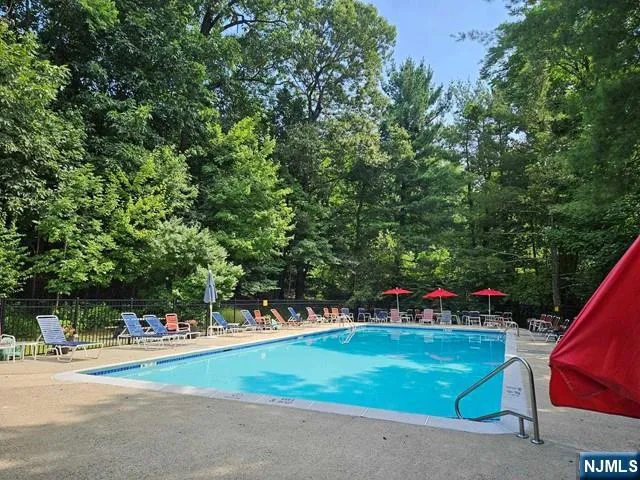 a childrens park with lots of trees and plants