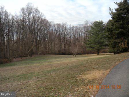 1420 Dr Jack Road Conowingo, MD 21918 - Photo 7 of 13 Exterior (General)