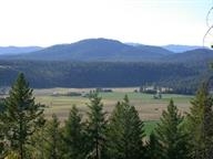 D Lyons Hill Road Springdale, WA 99173 - Photo 1 of 4