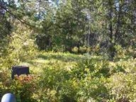 D Lyons Hill Road Springdale, WA 99173 - Photo 2 of 4