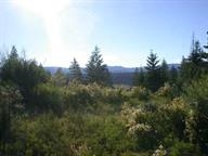 D Lyons Hill Road Springdale, WA 99173 - Photo 3 of 4