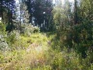 D Lyons Hill Road Springdale, WA 99173 - Photo 4 of 4