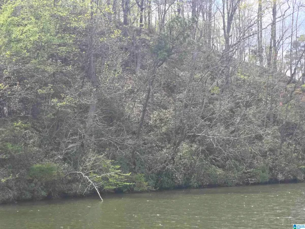 $71,900 | Lot 1 Eagle Mountain Road, Unit 1, Rockford, AL 35136