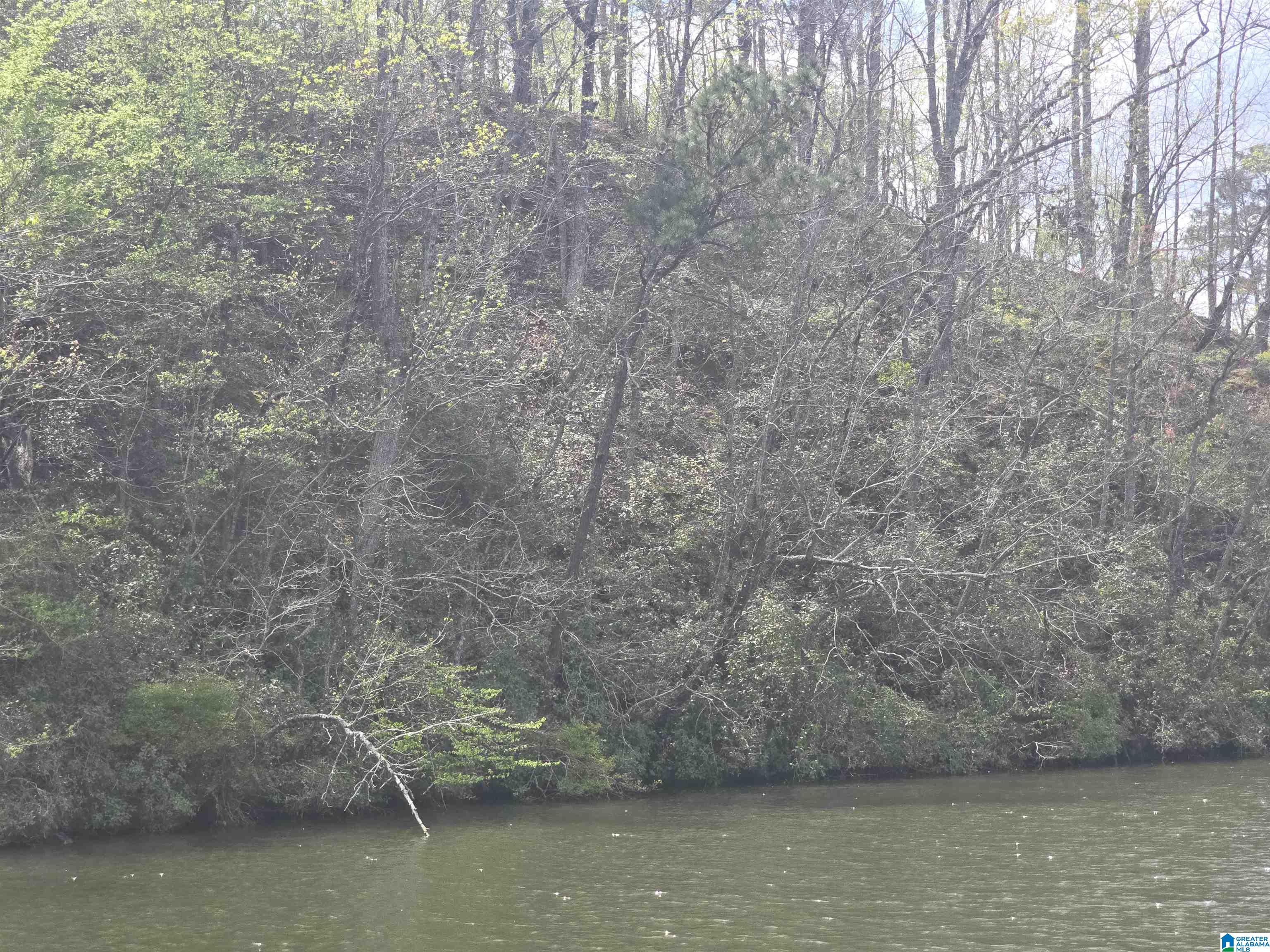 Lot 1 Eagle Mountain Road, Unit 1 Rockford, AL 35136 - Photo 1 of 3