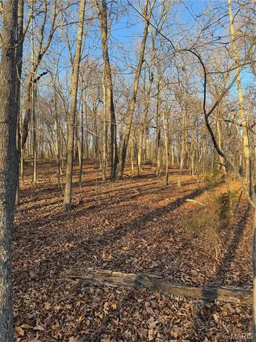 $35,900 | 0 Texas Road, St. Robert, MO 65584