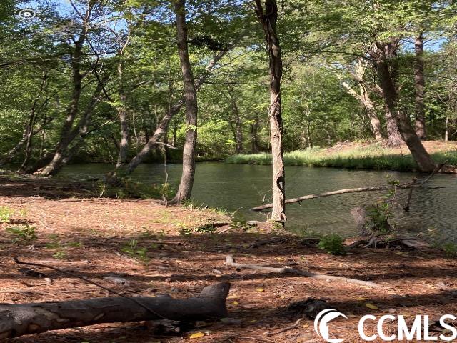 803 Lovell Road Nichols, SC 29581 - Photo 29 of 29 Gallery Image 29