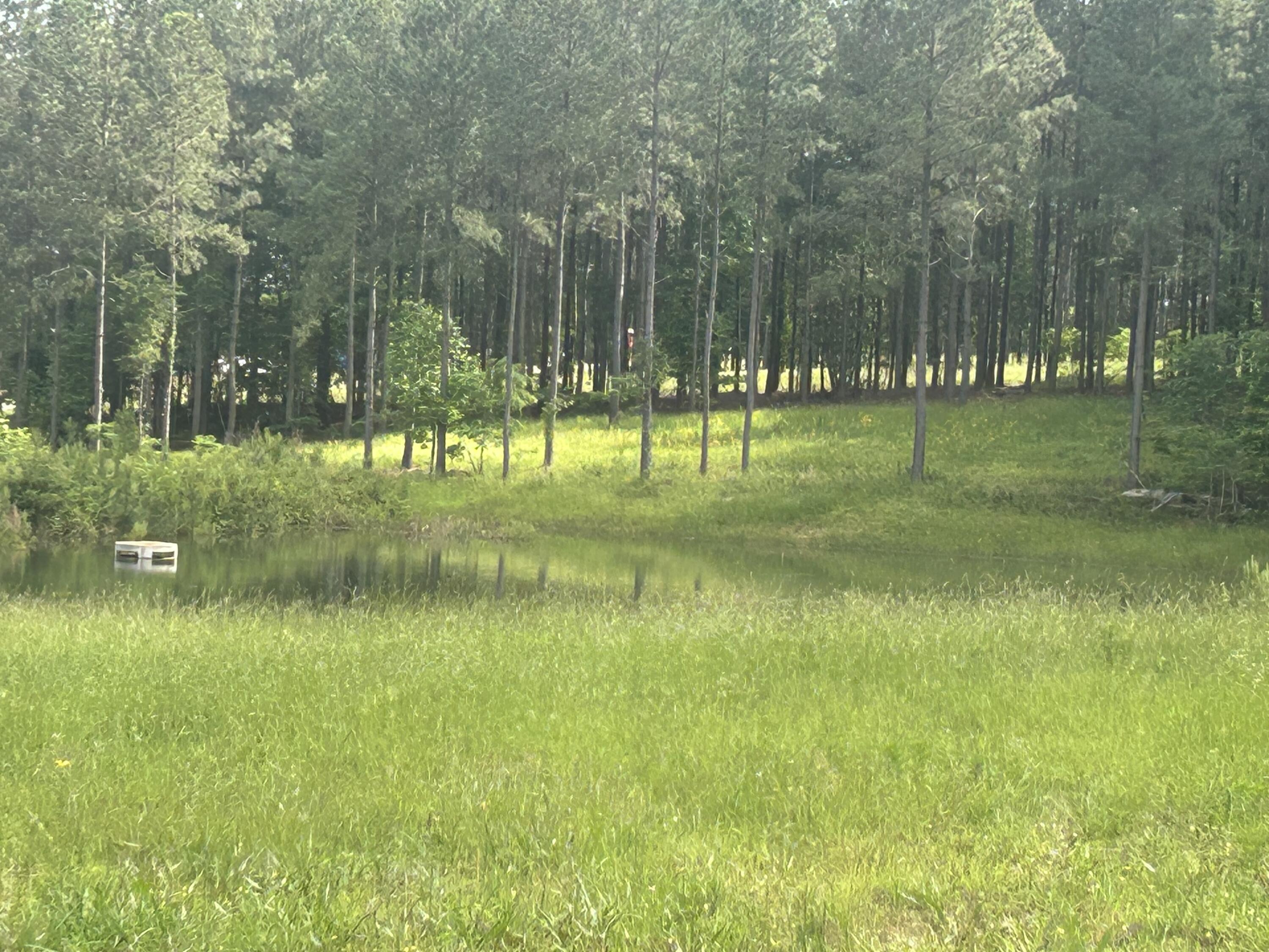 350 Crockett Loop, Unit JF79 Jasper, TN 37347 - Photo 14 of 53 IMG_9607