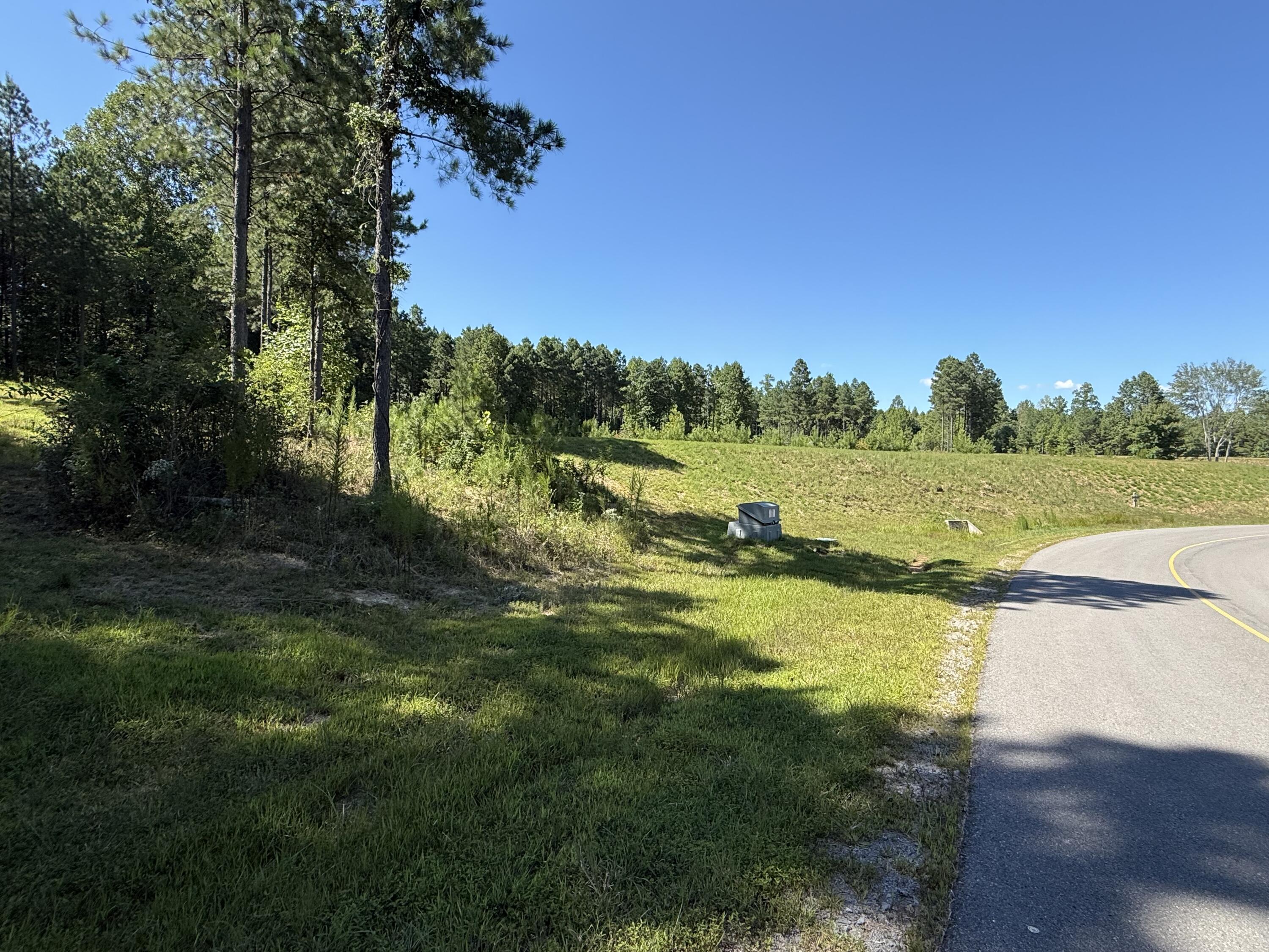 350 Crockett Loop, Unit JF79 Jasper, TN 37347 - Photo 25 of 53 IMG_1397