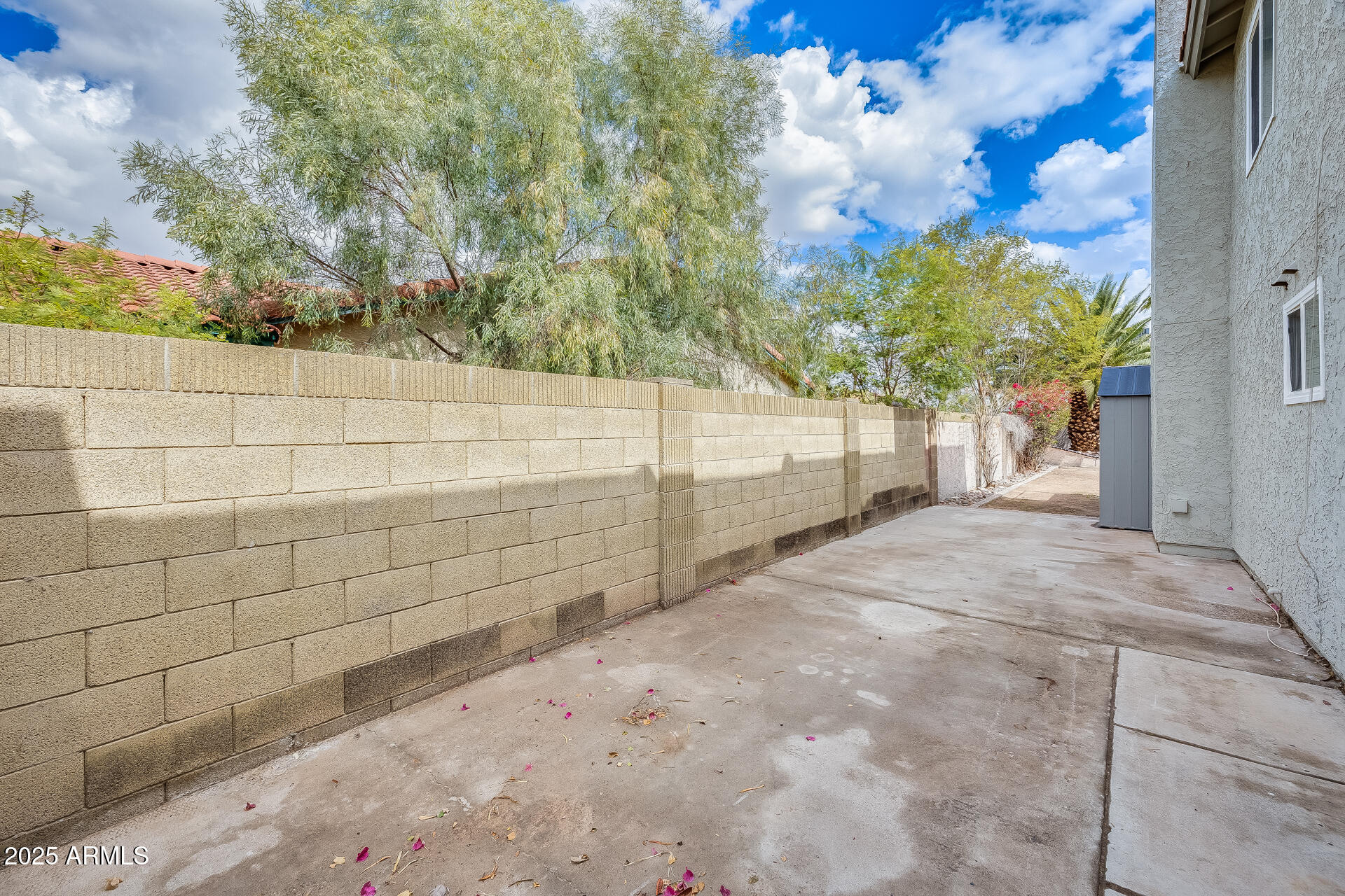 1929 East Redfield Road Phoenix, AZ 85022 - Photo 57 of 58 a view of a yard
