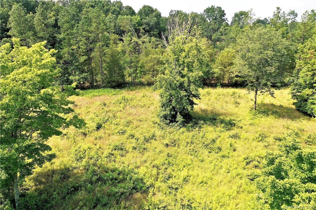 Tbd Jons Road Heath Springs, SC 29058 - Photo 12 of 22 Gallery Image 12
