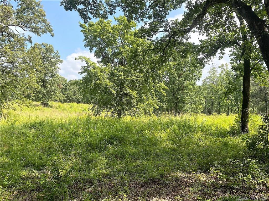Tbd Jons Road Heath Springs, SC 29058 - Photo 13 of 22 Gallery Image 13