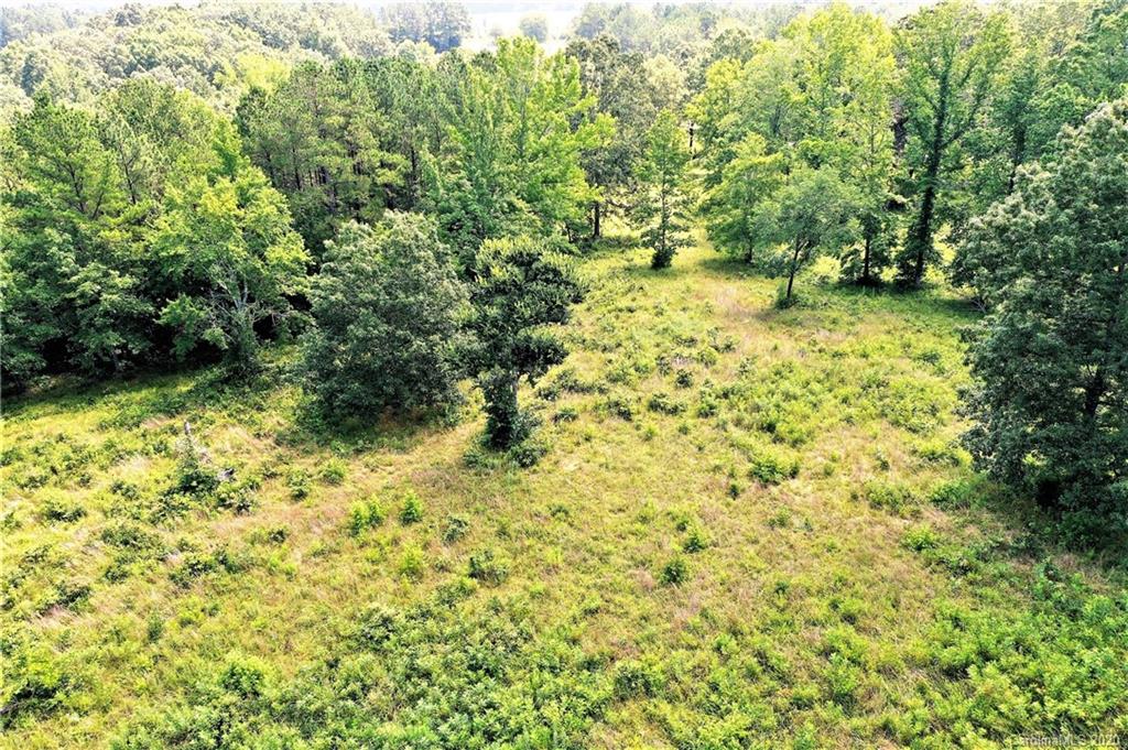 Tbd Jons Road Heath Springs, SC 29058 - Photo 15 of 22 Gallery Image 15