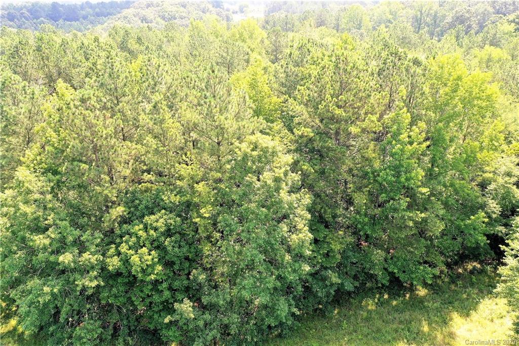 Tbd Jons Road Heath Springs, SC 29058 - Photo 17 of 22 Gallery Image 17