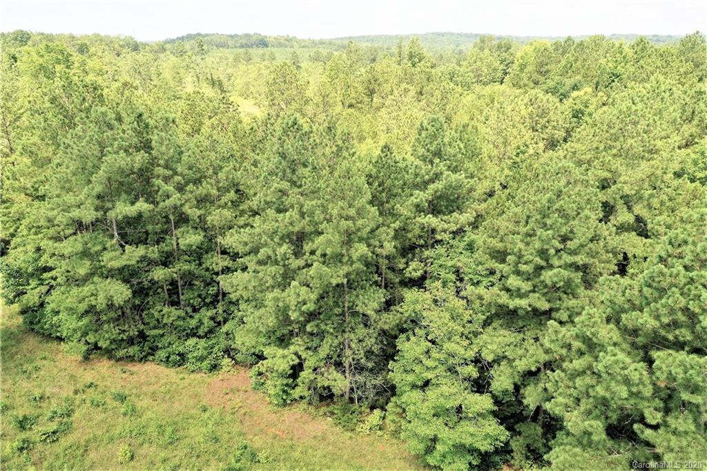Tbd Jons Road Heath Springs, SC 29058 - Photo 19 of 22 Gallery Image 19
