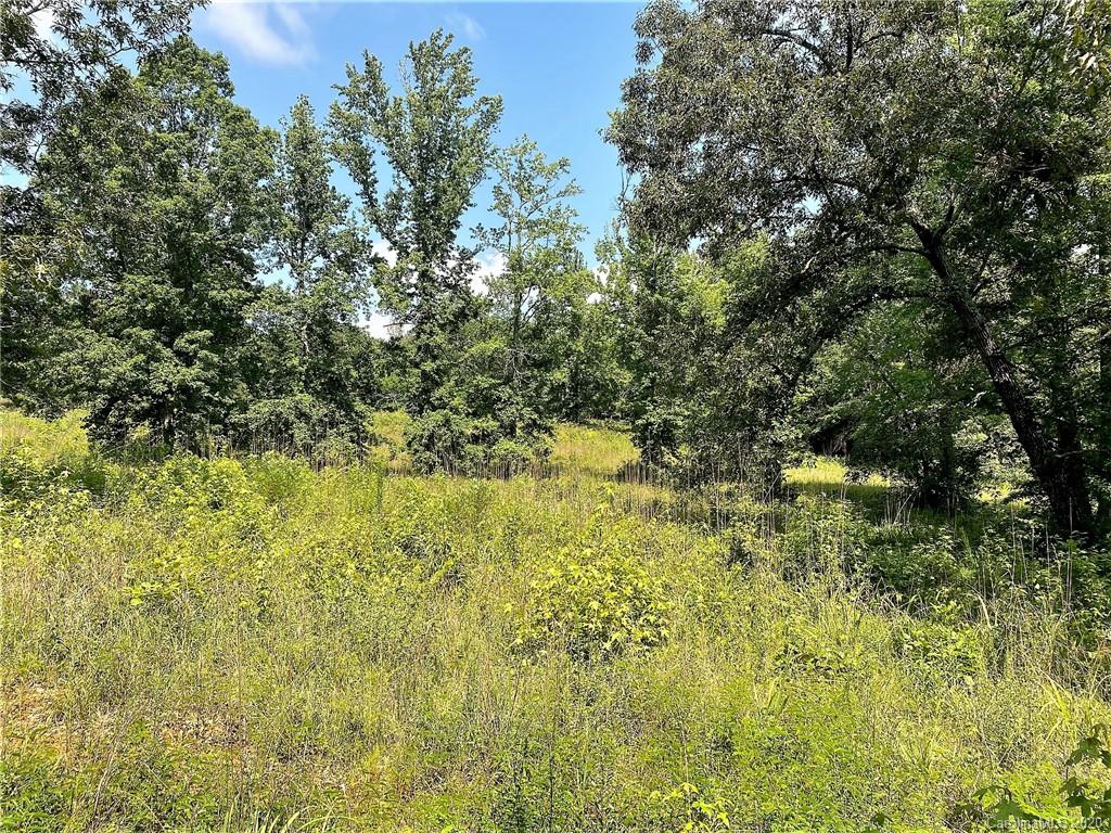 Tbd Jons Road Heath Springs, SC 29058 - Photo 22 of 22 Gallery Image 22