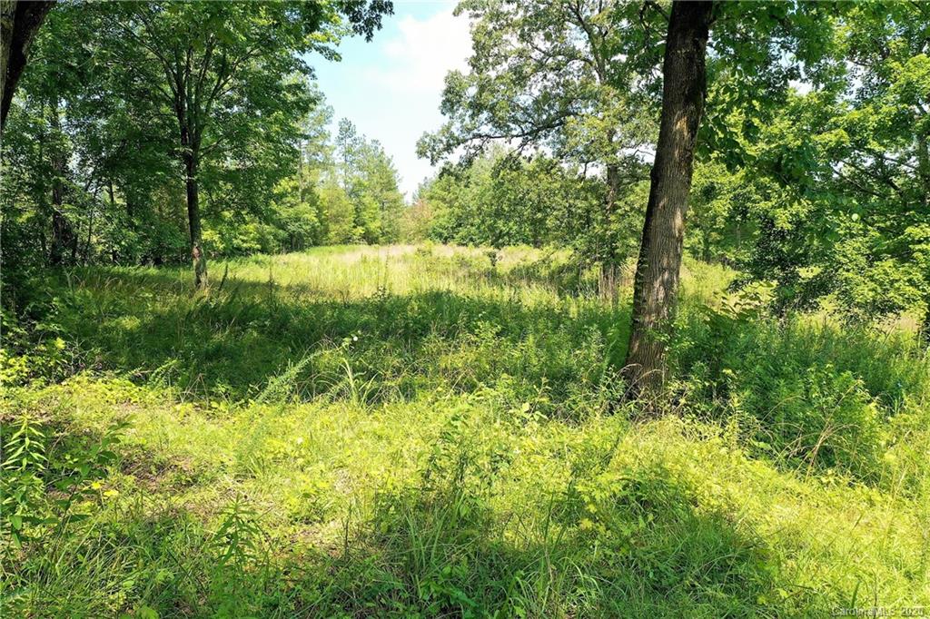Tbd Jons Road Heath Springs, SC 29058 - Photo 6 of 22 Gallery Image 6