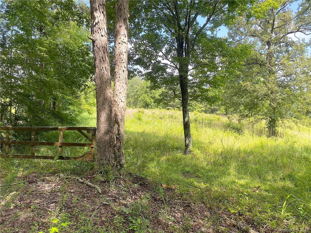 Tbd Jons Road Heath Springs, SC 29058 - Photo 7 of 22 Gallery Image 7