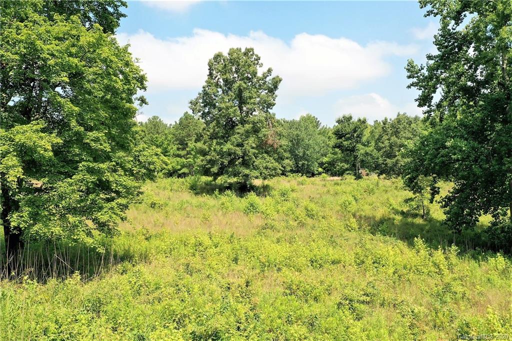 Tbd Jons Road Heath Springs, SC 29058 - Photo 10 of 22 Gallery Image 10