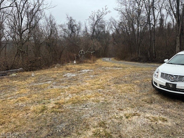 Tbd Skull Run Road Wellsburg, WV 26070 - Photo 27 of 44 Gallery Image 27