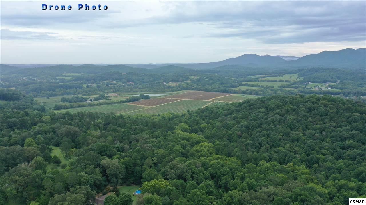 1333 Golf Course Road Newport, TN 37821 - Photo 19 of 23 Gallery Image 19