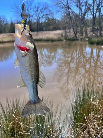 $988,650 | 7275 Leavenworth Trail, Mead, OK 73449