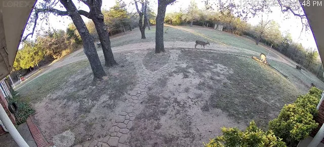 $988,650 | 7275 Leavenworth Trail, Mead, OK 73449