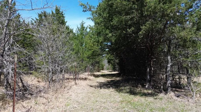 a view of a wooden bridge