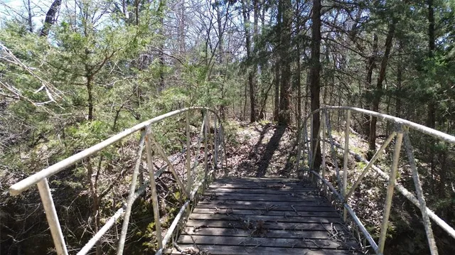 a view of backyard with green space