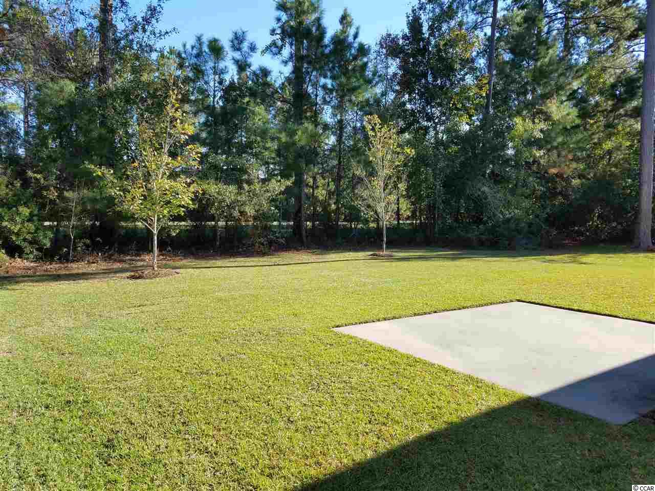 223 Simplicity Drive Murrells Inlet, SC 29576 - Photo 15 of 25 Gallery Image 15