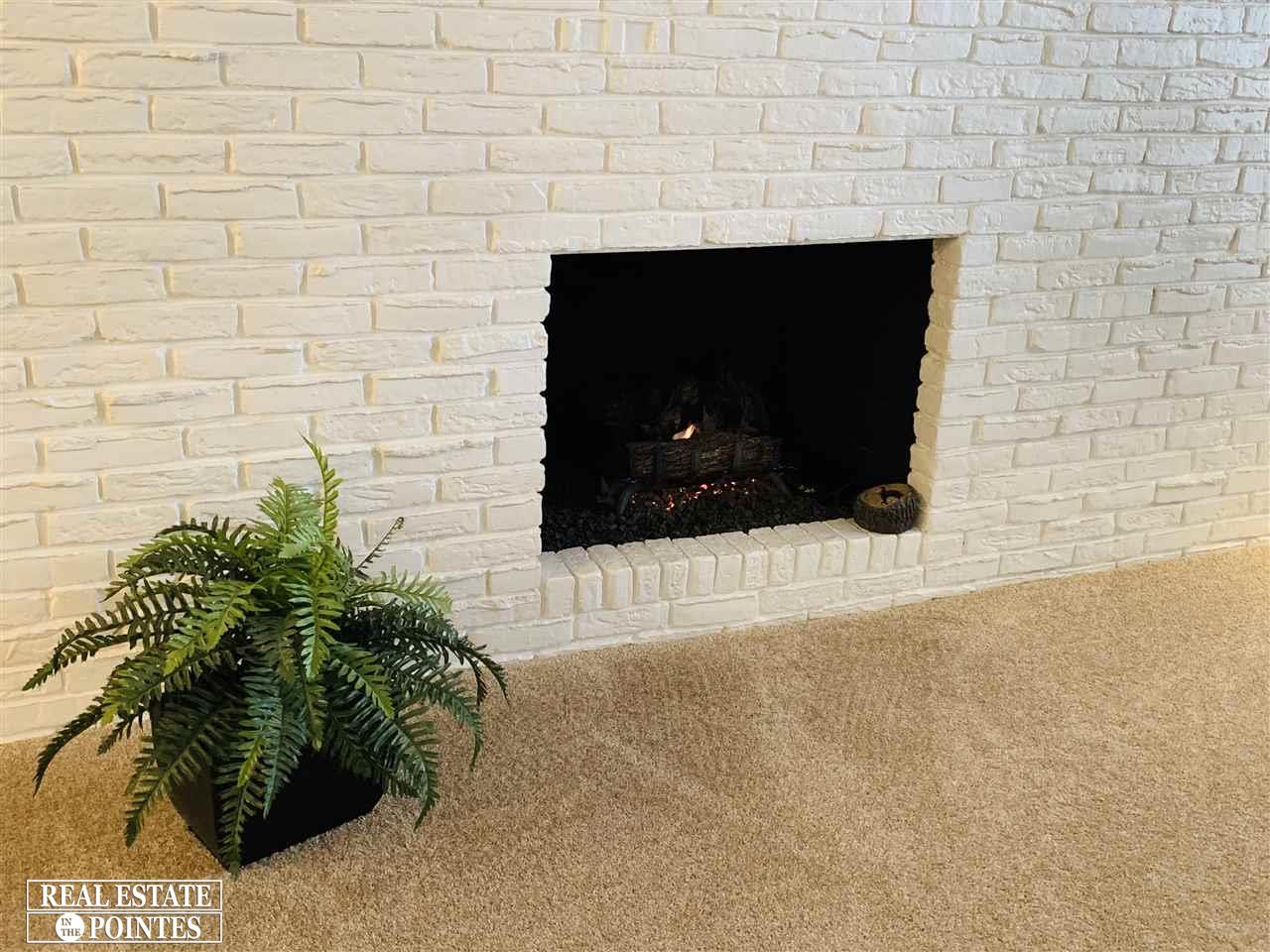 1750 Vernier Road, Unit 20 Grosse Pointe Woods, MI 48236 - Photo 4 of 25