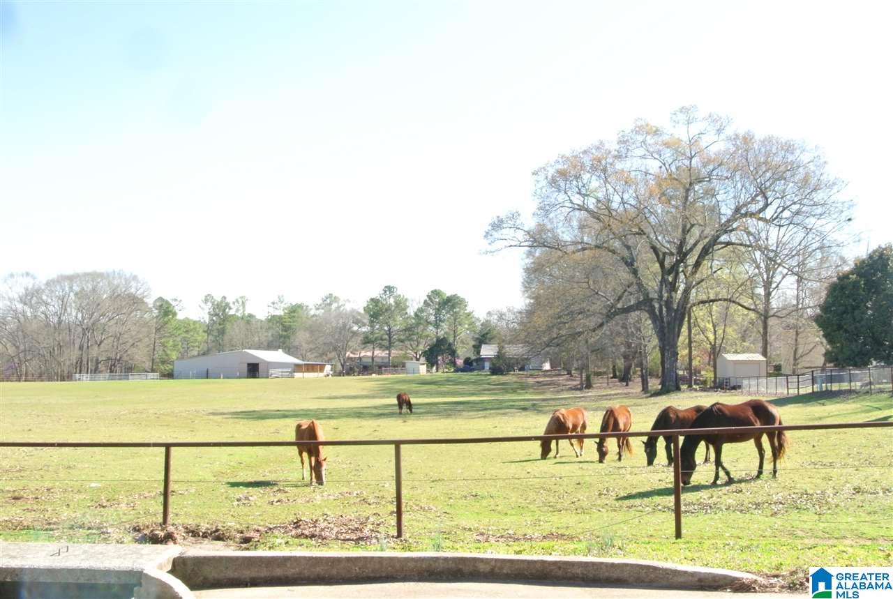 511 Tecumseh Street Montevallo, AL 35115 - Photo 41 of 44