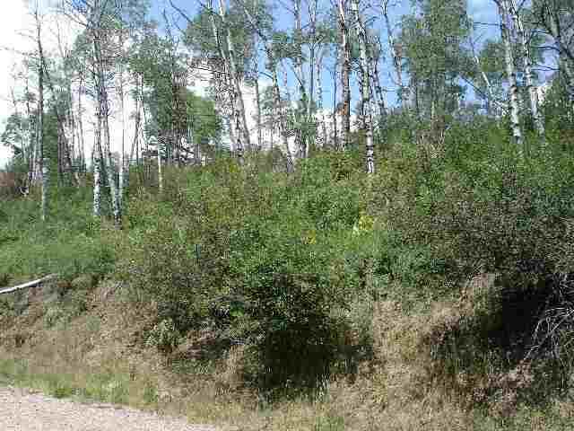 389 Wapiti Way Basalt, CO 81621 - Photo 2 of 2 Additional Photo