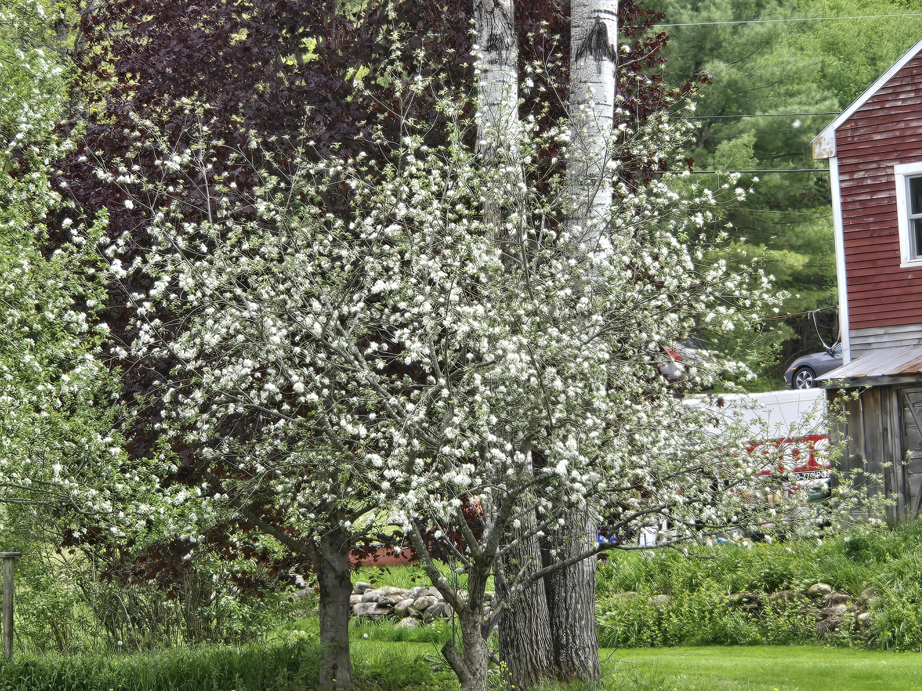 783 Paris Hill Road Paris, ME 04281 - Photo 48 of 69 20260523_134152