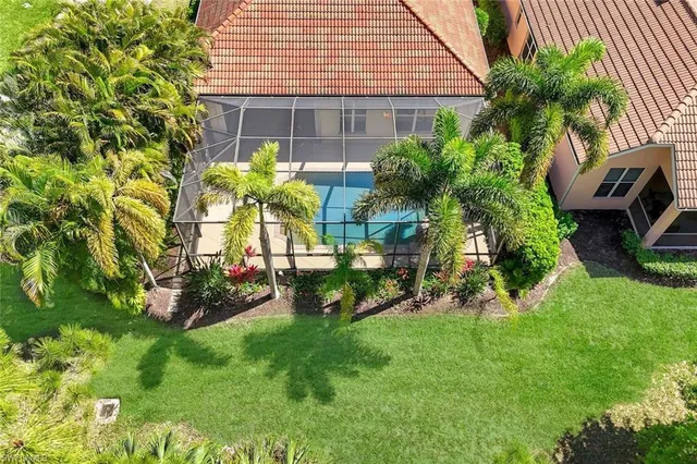 a view of a backyard with plants and a bench