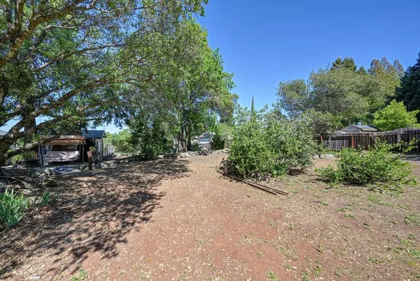 a view of a yard with plants and trees