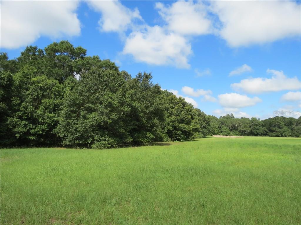 10821 Walter Hunter Road Lithia, FL 33547 - Photo 1 of 1 Gallery Image 1