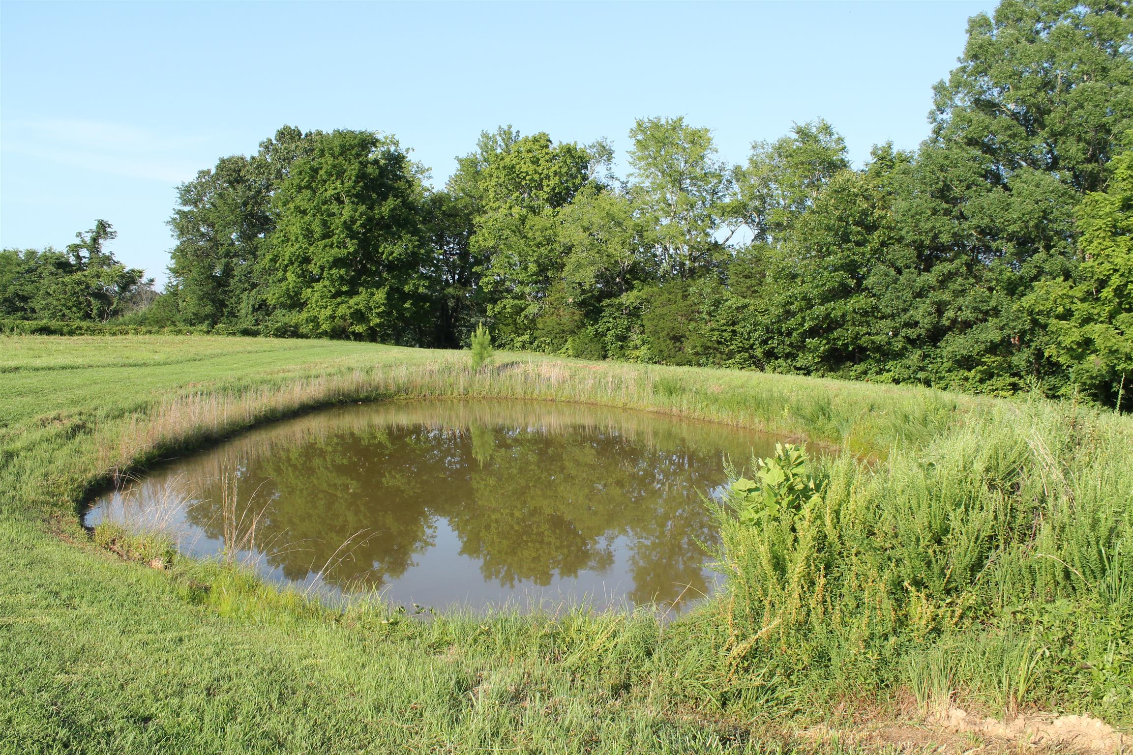 1130 Grays Chapel Road Southside, TN 37171 - Photo 23 of 24 Gallery Image 23