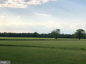 5174 Ritchie Road Bealeton, VA 22712 - Photo 5 of 7