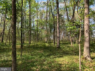 5174 Ritchie Road Bealeton, VA 22712 - Photo 6 of 7