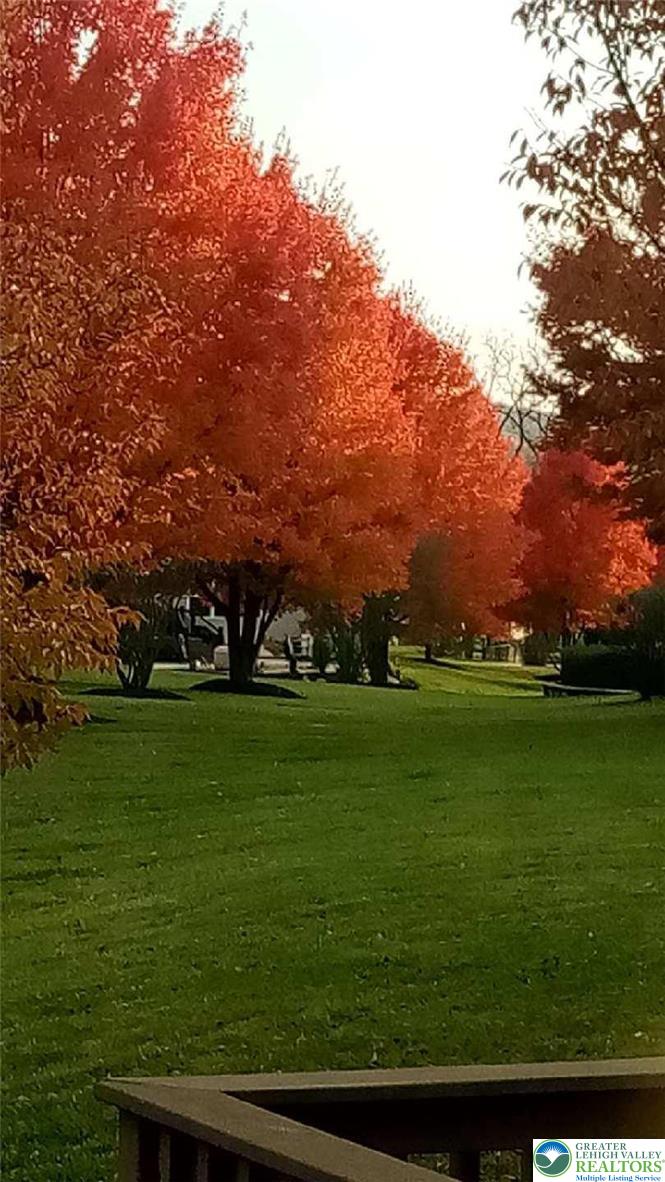 3540 Lenape Lane Emmaus, PA 18049 - Photo 26 of 28 a view of a big yard with large trees