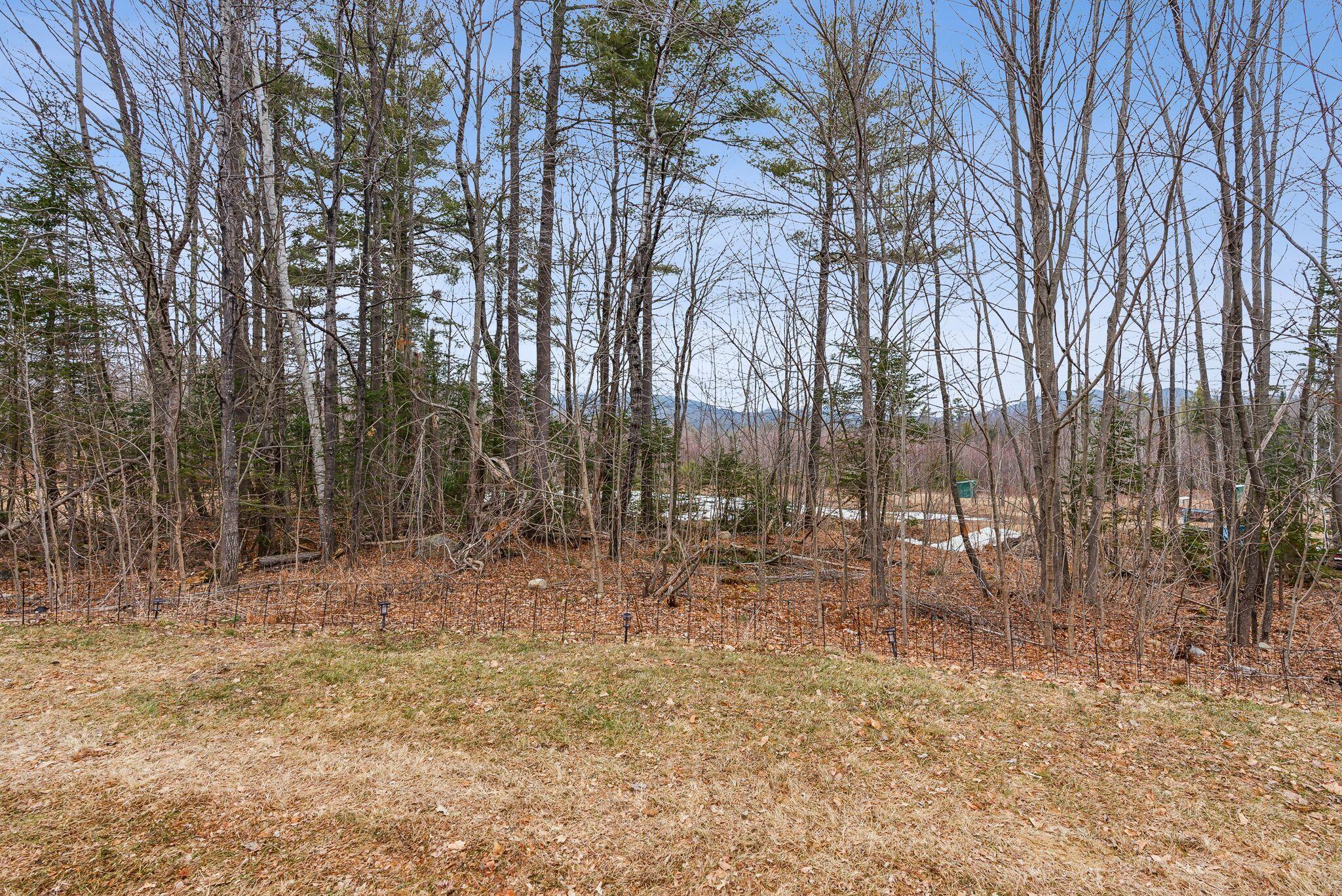 711 Main Street Sumner, ME 04292 - Photo 7 of 28 Back Yard