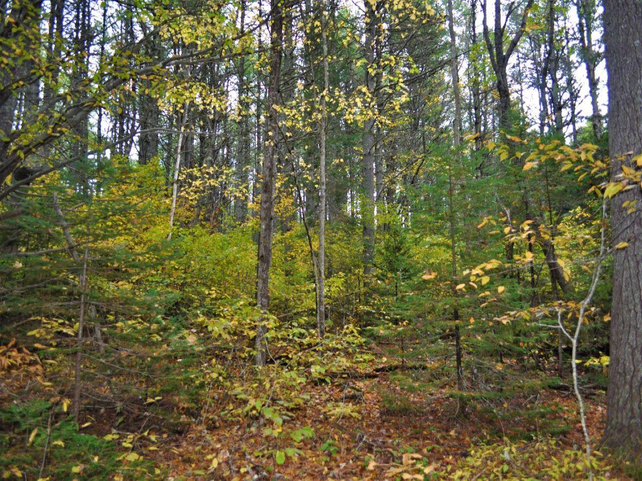 Lot 32 East Estey Road Newcastle, ME 04553 - Photo 1 of 1 DSC_0328-R
