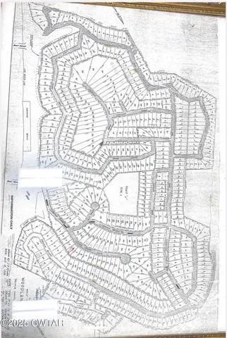 a picture of a black and white photo