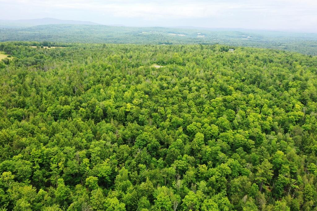 0 Larrabee Road Parkman, ME 04443 - Photo 6 of 21 DJI_0594