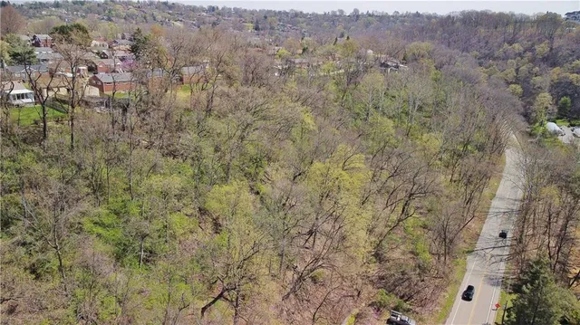 a view of a bunch of trees and bushes