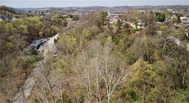 an aerial view of forest