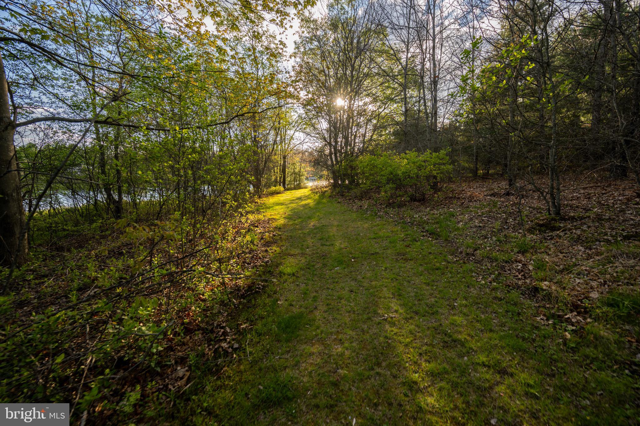 185 Ruta Lane Swanton, MD 21561 - Photo 71 of 81