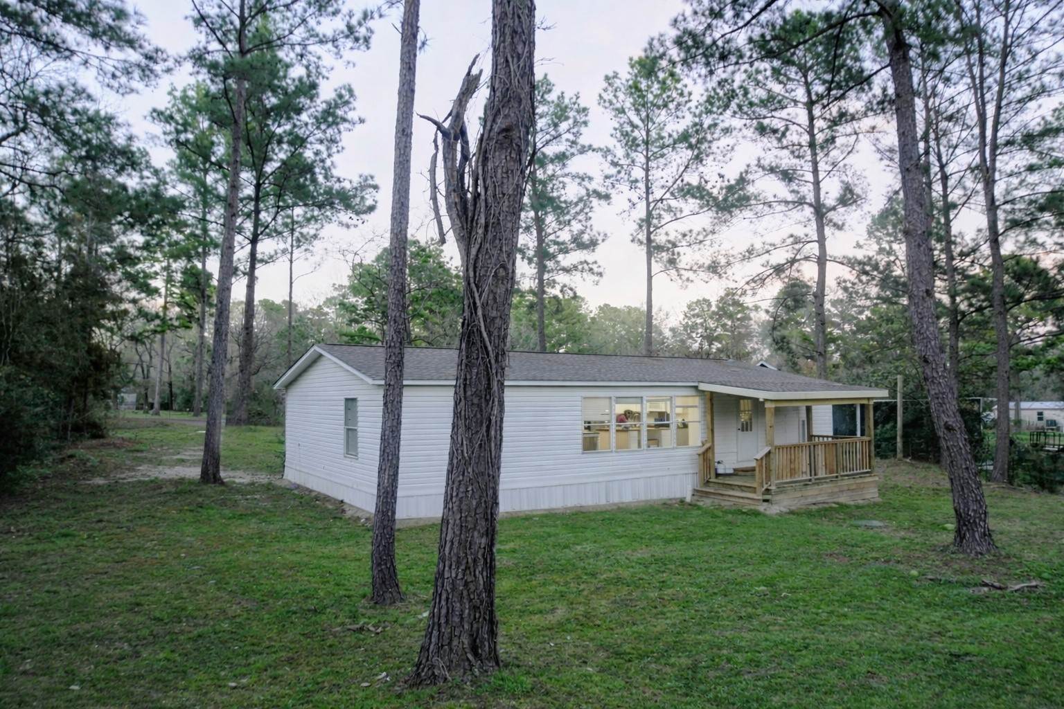 a view of a house with backyard and a tree