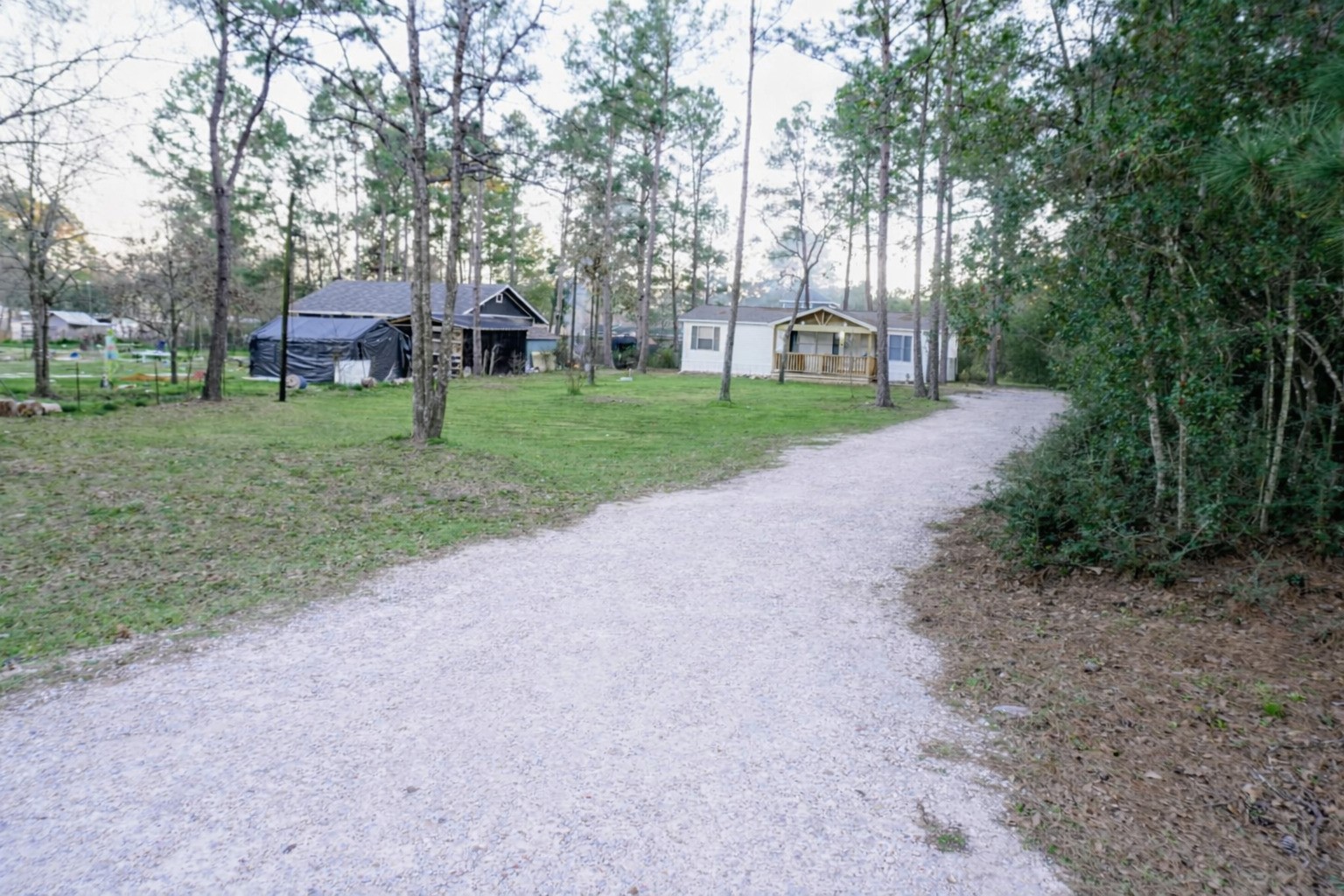 26331 Pinion Creek Road Magnolia, TX 77355 - Photo 3 of 14 a view of a house with a big yard and large trees