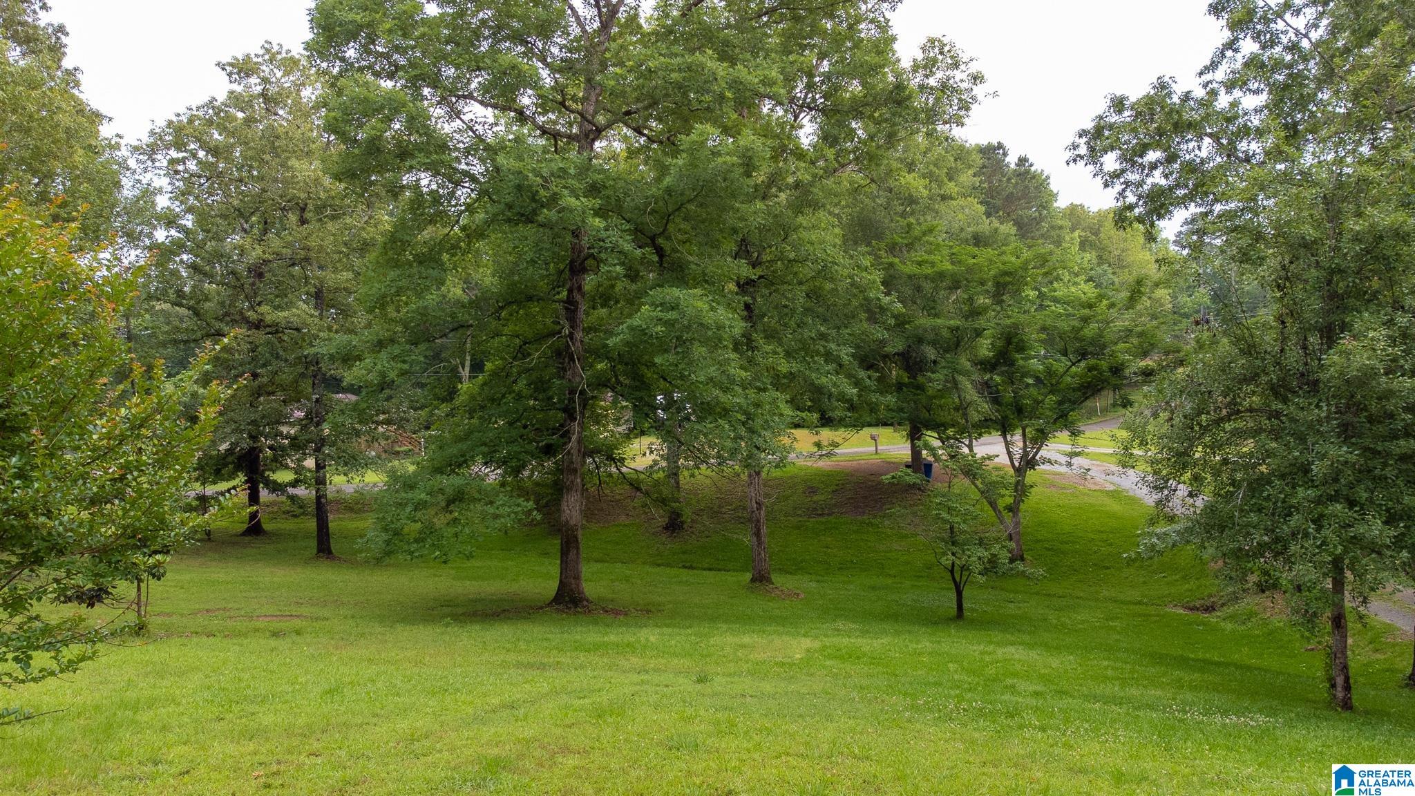 649 Tomahawk Trail Riverside, AL 35135 - Photo 17 of 45